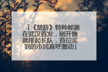 《楚辞》特种邮票在武汉首发，刚开售就排起长队，首位买到的市民直呼激动