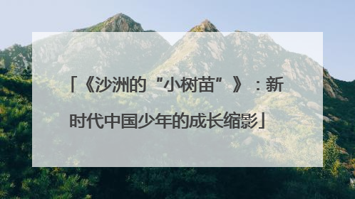 《沙洲的“小树苗”》：新时代中国少年的成长缩影