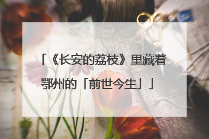 《长安的荔枝》里藏着鄂州的「前世今生」