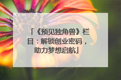 《预见独角兽》栏目：解锁创业密码，助力梦想启航