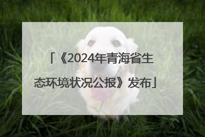 《2024年青海省生态环境状况公报》发布