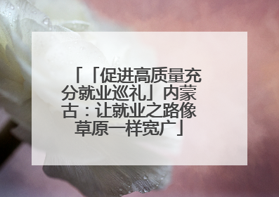 「促进高质量充分就业巡礼」内蒙古：让就业之路像草原一样宽广