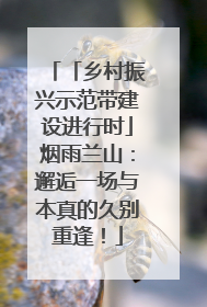 「乡村振兴示范带建设进行时」烟雨兰山：邂逅一场与本真的久别重逢！