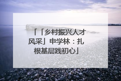 「乡村振兴人才风采」申学林：扎根基层践初心