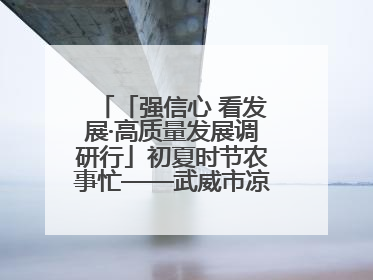 「强信心 看发展·高质量发展调研行」初夏时节农事忙——武威市凉州区推进高标准农田建设见闻
