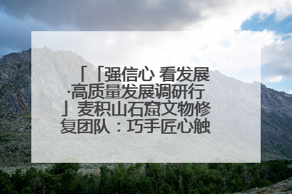 「强信心 看发展·高质量发展调研行」麦积山石窟文物修复团队：巧手匠心触摸“光阴的故事”