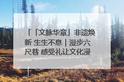 「文脉华章」非遗焕新 生生不息｜漫步六尺巷 感受礼让文化浸润的“巷”往生活