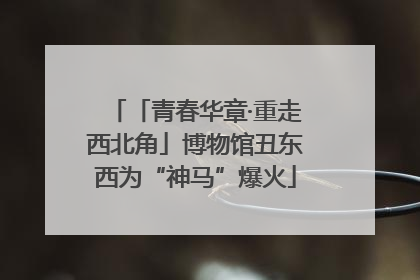 「青春华章·重走西北角」博物馆丑东西为“神马”爆火