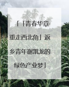 「青春华章·重走西北角」返乡青年谢凯龙的绿色产业梦