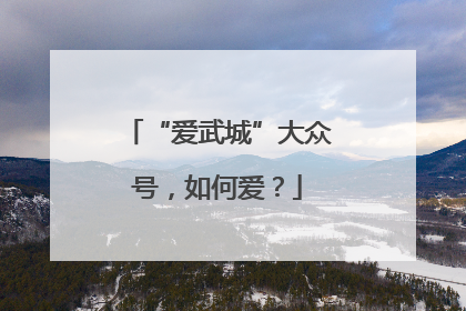 “爱武城”大众号，如何爱？