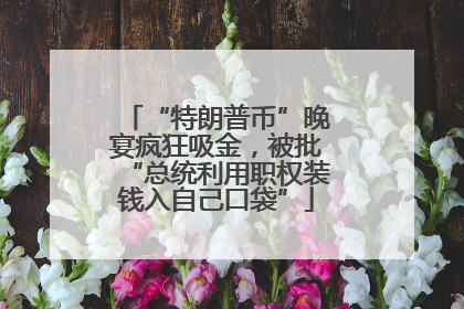 “特朗普币”晚宴疯狂吸金，被批“总统利用职权装钱入自己口袋”
