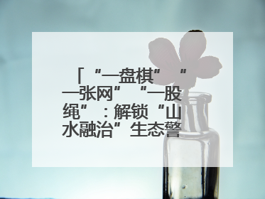 “一盘棋”“一张网”“一股绳”：解锁“山水融治”生态警务“密码”