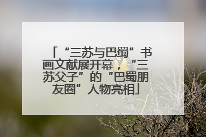 “三苏与巴蜀”书画文献展开幕，“三苏父子”的“巴蜀朋友圈”人物亮相