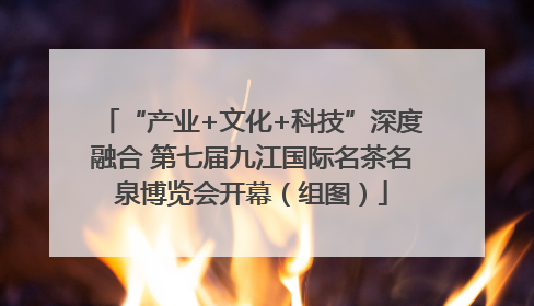 “产业+文化+科技”深度融合 第七届九江国际名茶名泉博览会开幕（组图）