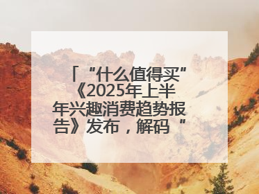 “什么值得买”《2025年上半年兴趣消费趋势报告》发布，解码“心价比”时代兴趣消费新范式