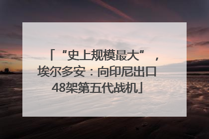“史上规模最大”，埃尔多安：向印尼出口48架第五代战机
