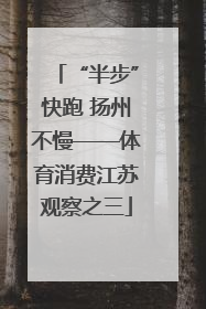 “半步”快跑 扬州不慢——体育消费江苏观察之三