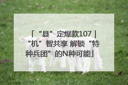 “县”定爆款107｜“机”智共享 解锁“特种兵团”的N种可能