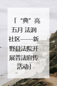 “典”亮五月 法润社区——新野县法院开展普法宣传活动