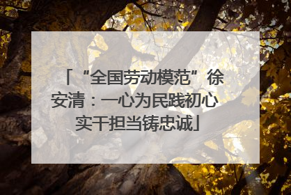“全国劳动模范”徐安清：一心为民践初心 实干担当铸忠诚