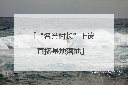 “名誉村长”上岗 直播基地落地
