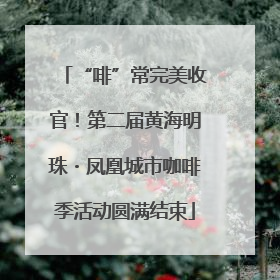 “啡”常完美收官！第二届黄海明珠・凤凰城市咖啡季活动圆满结束