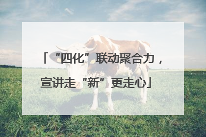 “四化”联动聚合力，宣讲走“新”更走心
