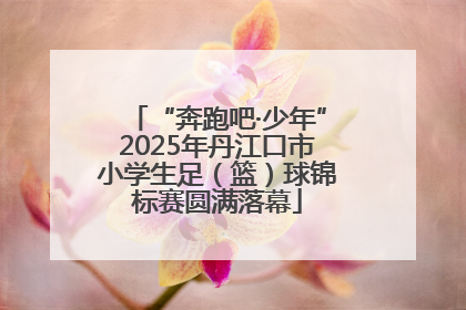“奔跑吧·少年”2025年丹江口市小学生足（篮）球锦标赛圆满落幕