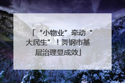 “小物业”牵动“大民生”！舞钢市基层治理显成效