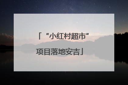 “小红村超市”项目落地安吉