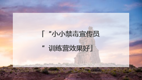“小小禁毒宣传员”训练营效果好