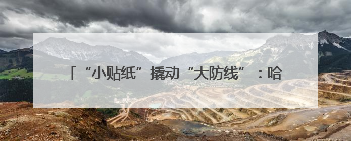 “小贴纸”撬动“大防线”：哈尔滨市公安局香坊分局“物流反诈”模式守护群众“钱袋子”