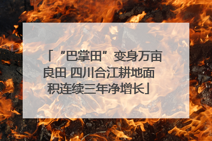 “巴掌田”变身万亩良田 四川合江耕地面积连续三年净增长