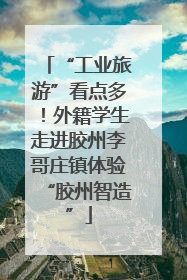 “工业旅游”看点多！外籍学生走进胶州李哥庄镇体验“胶州智造”