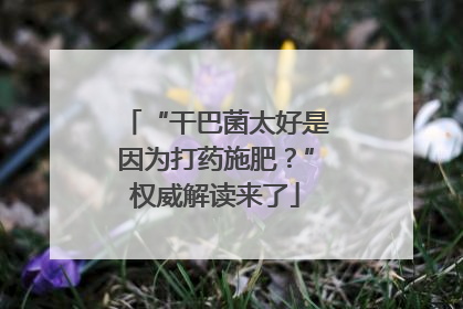 “干巴菌太好是因为打药施肥？”权威解读来了