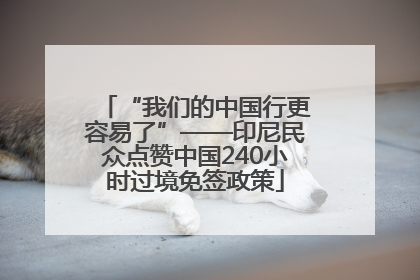 “我们的中国行更容易了”——印尼民众点赞中国240小时过境免签政策
