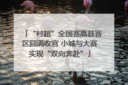 “村超”全国赛高县赛区圆满收官 小城与大赛实现“双向奔赴”