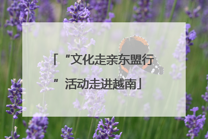 “文化走亲东盟行”活动走进越南