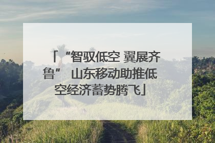 “智驭低空 翼展齐鲁” 山东移动助推低空经济蓄势腾飞