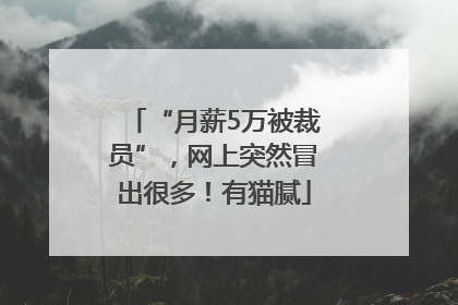 “月薪5万被裁员”，网上突然冒出很多！有猫腻