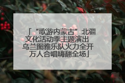 “歌游内蒙古”北疆文化活动季主题演出 乌兰图雅乐队火力全开 万人合唱嗨翻全场