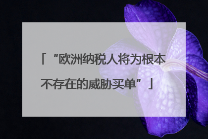 “欧洲纳税人将为根本不存在的威胁买单”