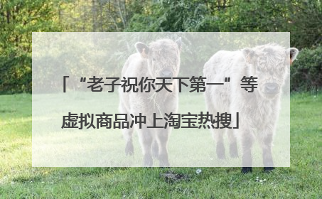 “老子祝你天下第一”等虚拟商品冲上淘宝热搜