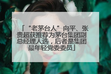 “老茅台人”向平、张贵超获推荐为茅台集团副总经理人选，后者是集团最年轻党委委员