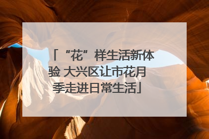 “花”样生活新体验 大兴区让市花月季走进日常生活