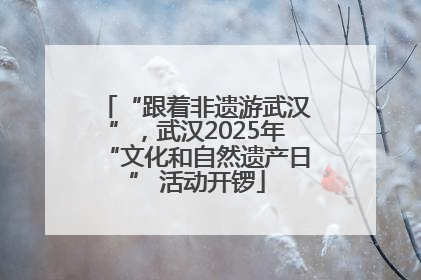 “跟着非遗游武汉”，武汉2025年“文化和自然遗产日” 活动开锣