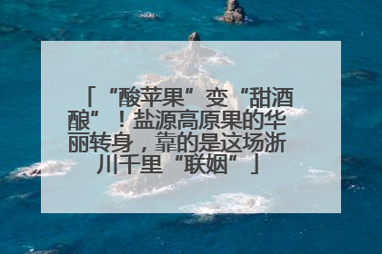 “酸苹果”变“甜酒酿”！盐源高原果的华丽转身，靠的是这场浙川千里“联姻”