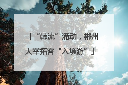 “韩流”涌动，郴州大举拓客“入境游”