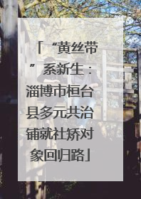 “黄丝带”系新生：淄博市桓台县多元共治铺就社矫对象回归路