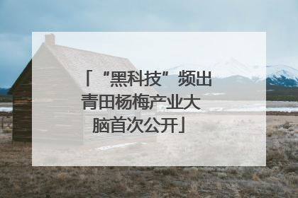 “黑科技”频出 青田杨梅产业大脑首次公开